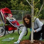 Photo of woman planting a tree.