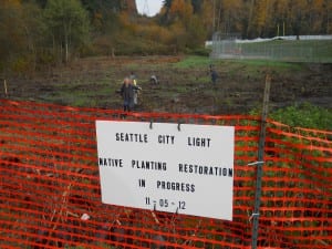 Photo of Seattle City Light crews planting trees.