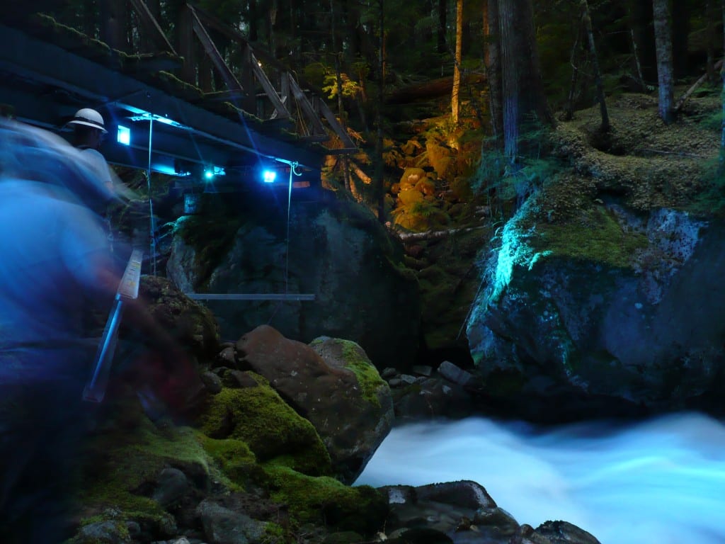 Photo of LED lights that create the effects at Ladder Creek Falls.