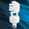Photo of compact fluorescent light bulb