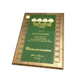 Photo of Tree Line USA Utility award.