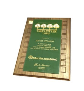Photo of Tree Line USA Utility award.