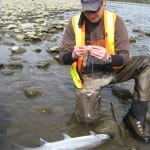 Photo of steelhead researcher with fish.