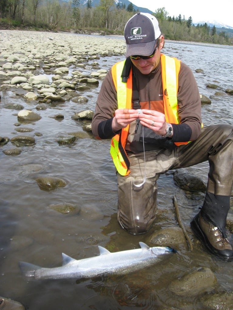 Photo of steelhead researcher with fish.