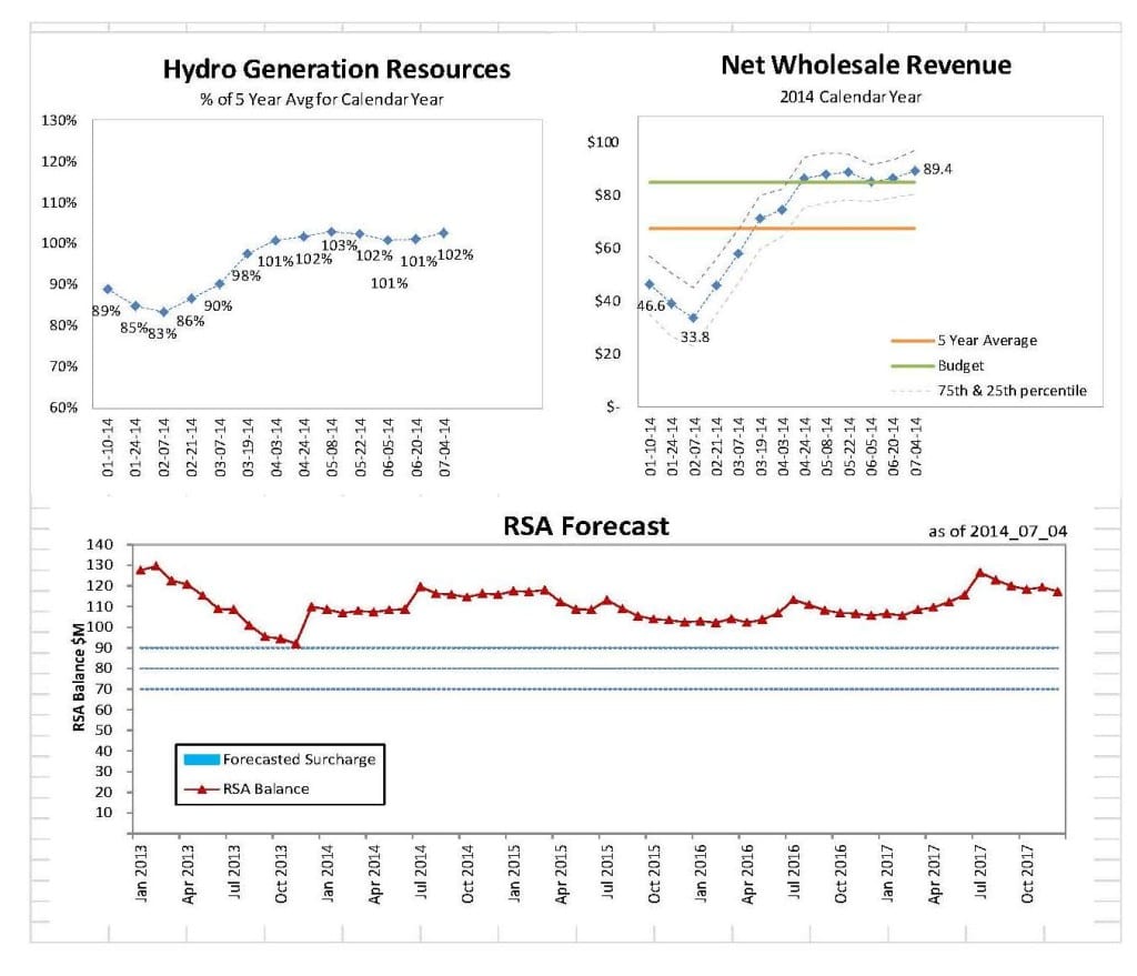 Charts showing surplus energy sales revenue and the potential surcharge forecast.