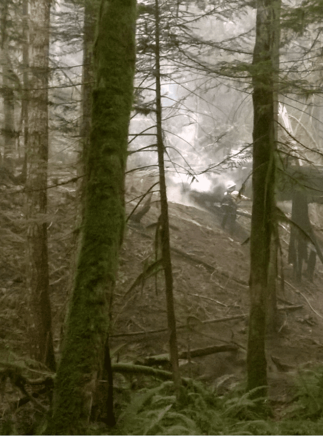 Photo of smoke in the trees near the Trail of the Cedars.