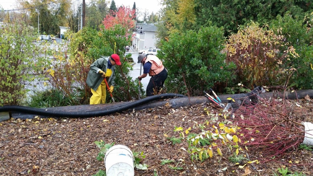 Photo of volunteers spreading mulch.
