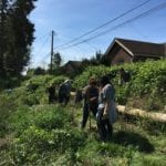 Photo of volunteers removing blackberry plants at the former Duwamish Substation property.