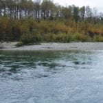 Photo of the Skagit River shore.,