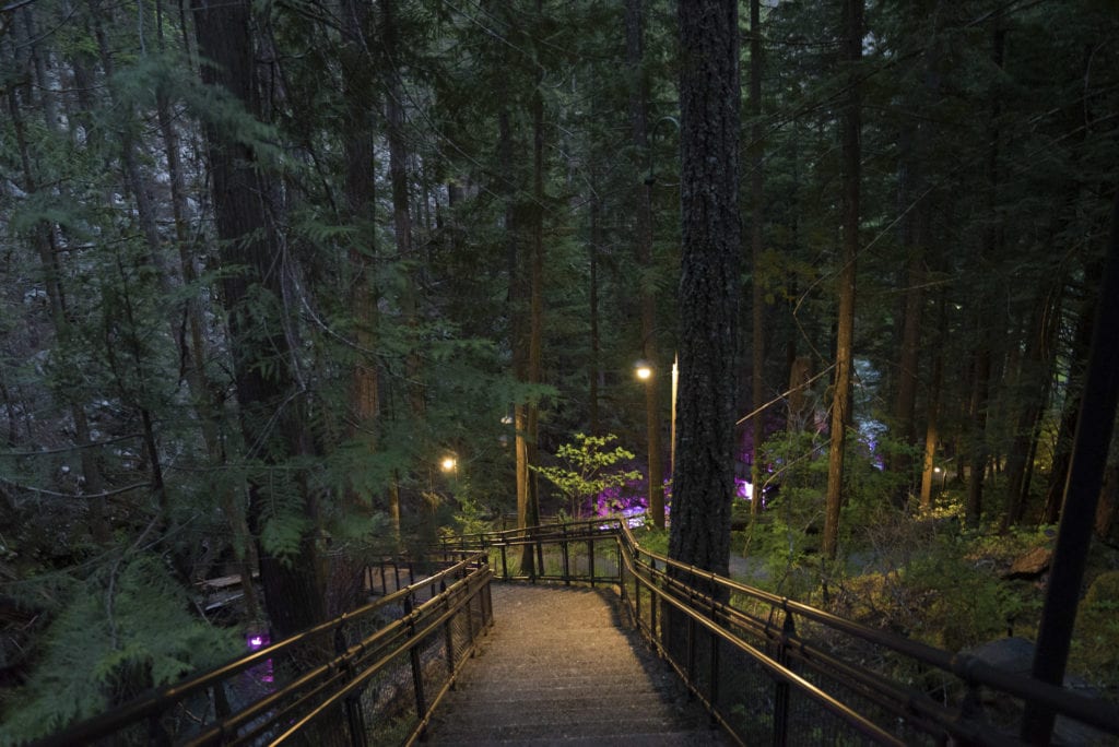 Stairs leading down into a colorful array of lights in the forest