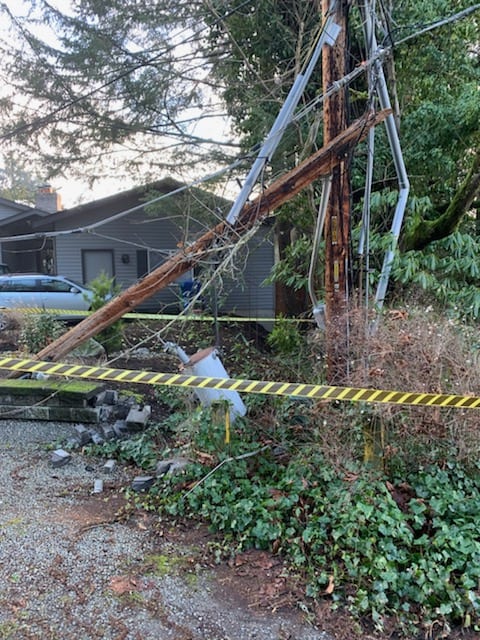 Broken tree fallen on power lines