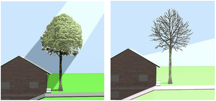Graphic showing how trees can shade a house