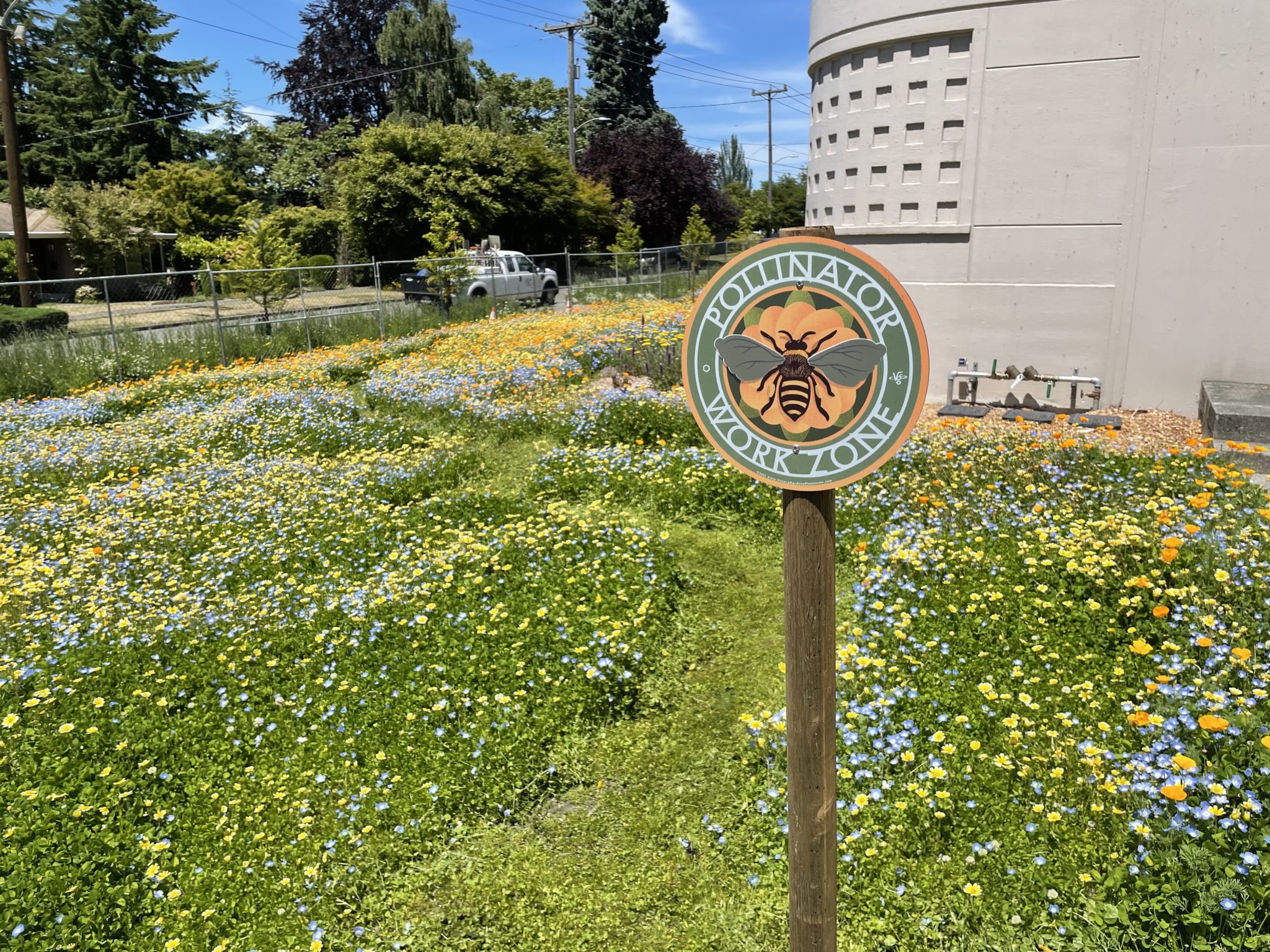 Garden of small yellow and blue flowers with a sign that reads "Pollinator Work Zone"