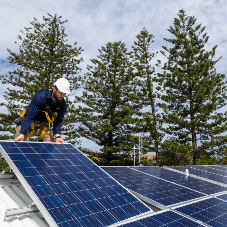 Solar Power Is Viable in the PNW Powerlines