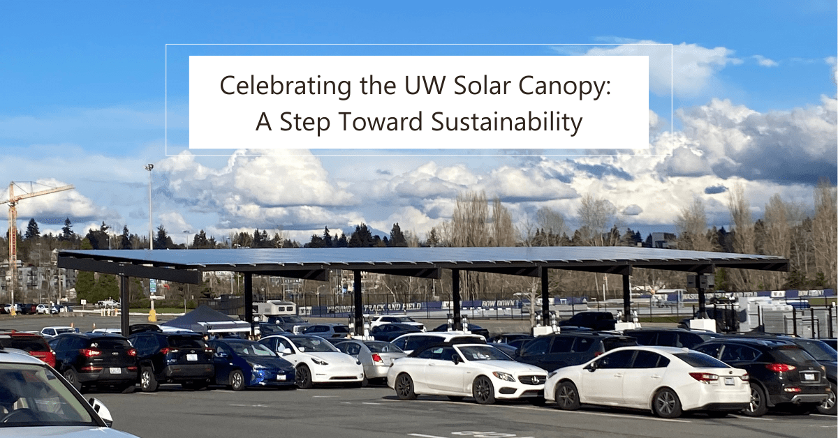 Featured image showing solar canopy in parking lot surrounded by cars